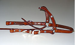 Bridles and halters